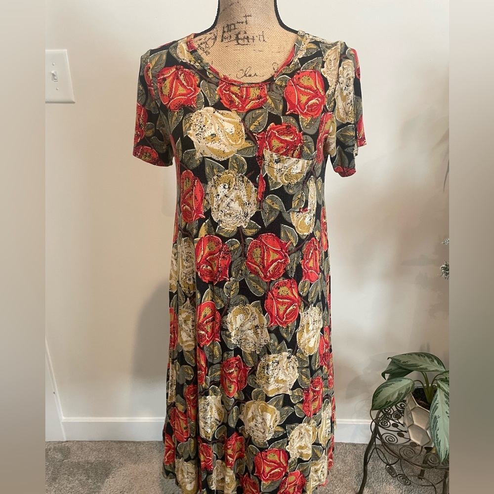 LuLaRoe Carly Dress